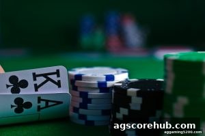 AG真人 agscorehub