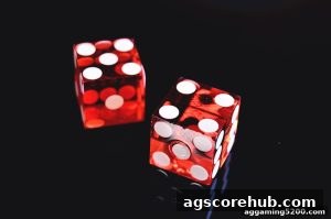 AG真人 agscorehub